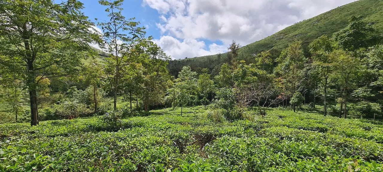 Four Winds Plantation Homestay Approved By Dept Of Tourism Govt Of Kerala Vandiperiyār