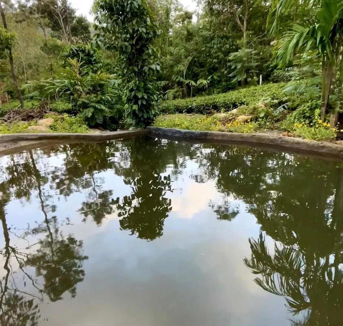 Four Winds Plantation Homestay Approved By Dept Of Tourism Govt Of Kerala Vandiperiyār Índia