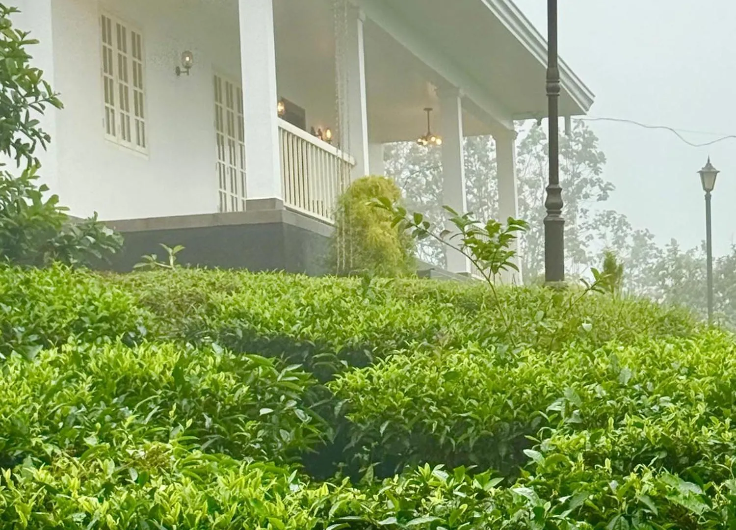 Four Winds Plantation Homestay Approved By Dept Of Tourism Govt Of Kerala Vandiperiyār Indien